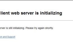 The Vsphere Client Web server is initializing- Issue 6.5. Problemi